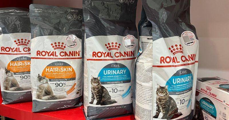 Popmama.com/Putri Syifa N